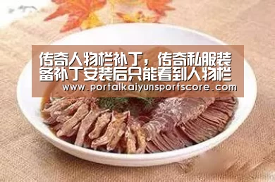 传奇人物栏补丁，传奇私服装备补丁安装后只能看到人物栏里面的，