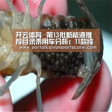 开云体育-第13批新能源推荐目录乘用车分析：11款纯电动车获
