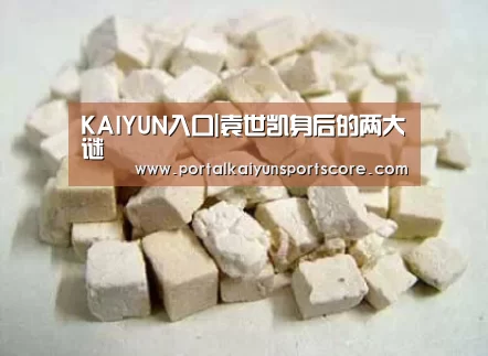KAIYUN入口|袁世凯身后的两大谜