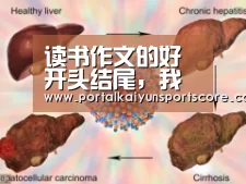 开云体育