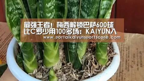 开云热门赛事