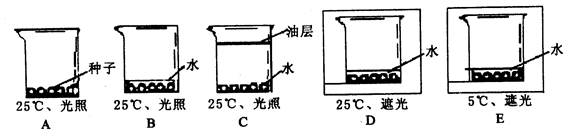 KAIYUN入口