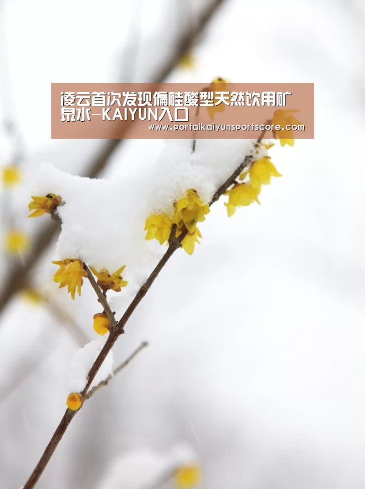 凌云首次发现偏硅酸型天然饮用矿泉水-KAIYUN入口